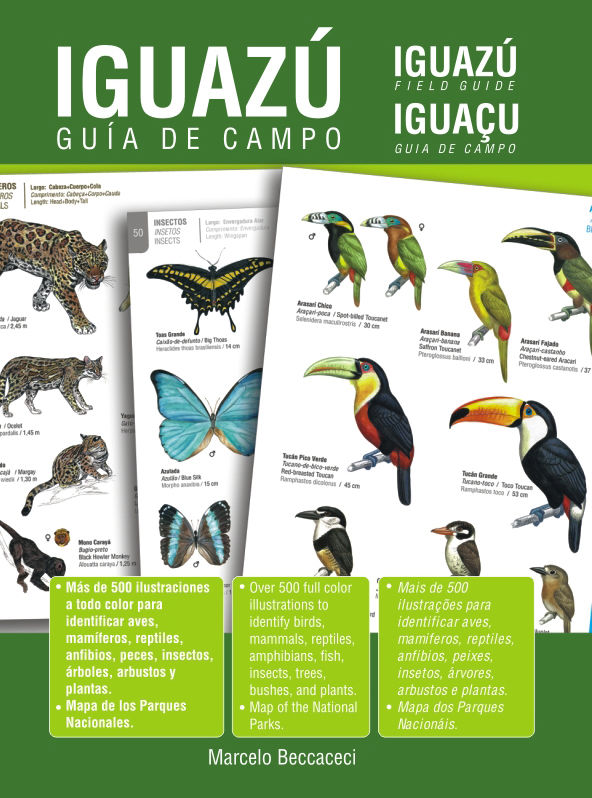 GUIA DE CAMPO IGUAZU